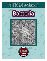 Bacteria Brochure's Thumbnail